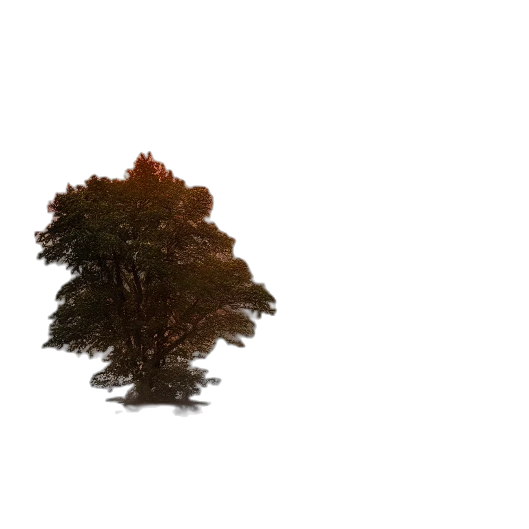 tree, crown, hair, hat, 3d render, photorealistic, concept art, pixel art transparent PNG cut-out