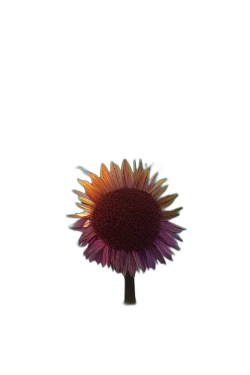 flower, staff, crown, umbrella, 3d render, photorealistic, earth tones, giant transparent PNG cut-out