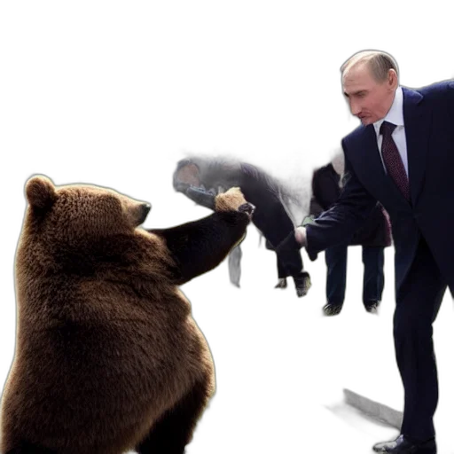 vladimir, putin, rinding, bear transparent PNG cut-out
