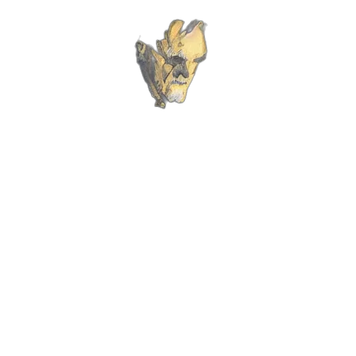 jewelry, crown, mask, animal transparent PNG cut-out