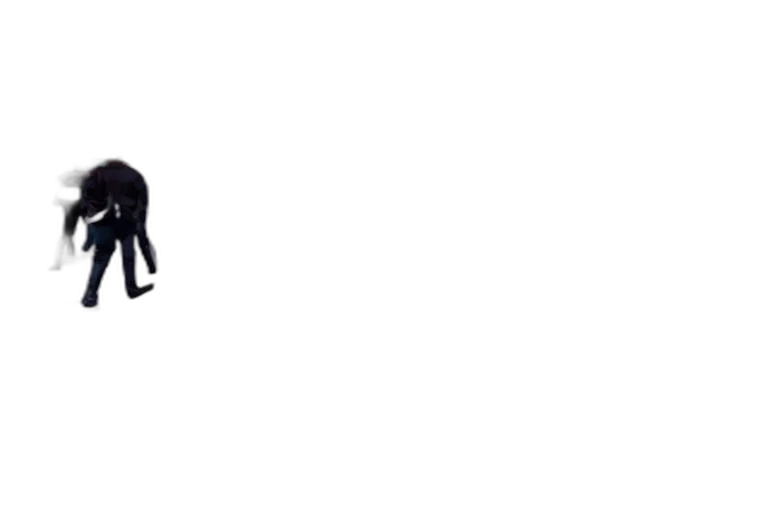 jacket, animal, umbrella, staff transparent PNG cut-out