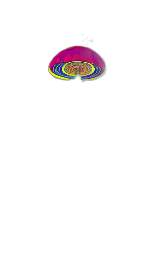 jewelry, hat, hair, staff transparent PNG cut-out