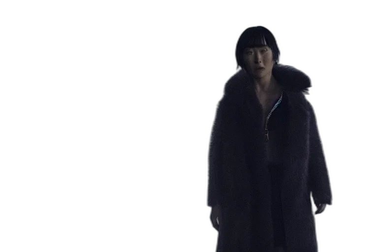 jacket, dress, hat, face transparent PNG cut-out