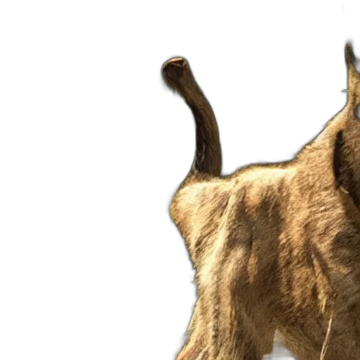 animal, creature, staff, 3d render, concept art, photorealistic, fantasy art, film transparent PNG cut-out