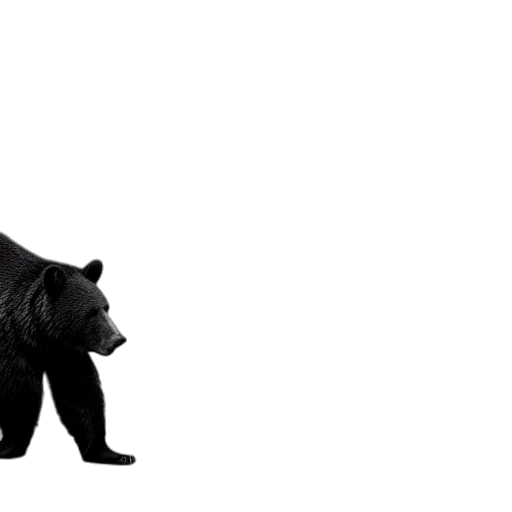 animal, shoes, creature, mask transparent PNG cut-out
