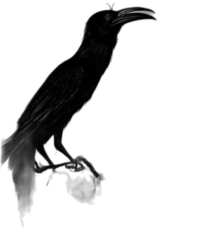 animal, creature, staff, mask transparent PNG cut-out