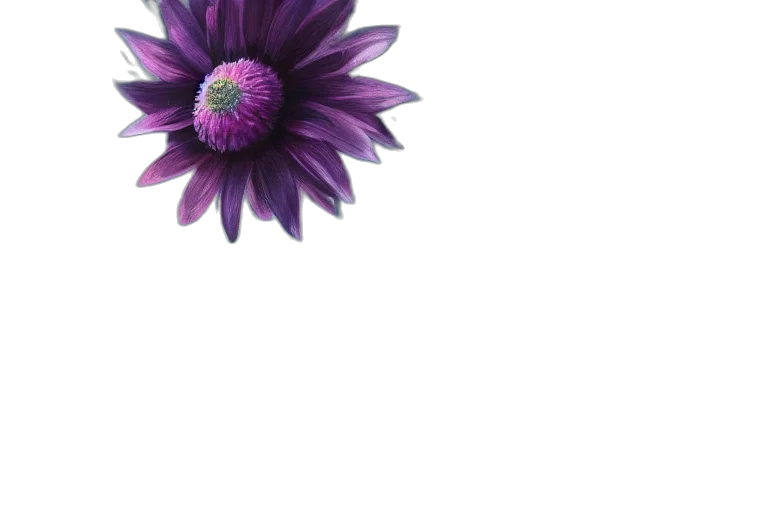 flower, crown, jewelry, umbrella transparent PNG cut-out