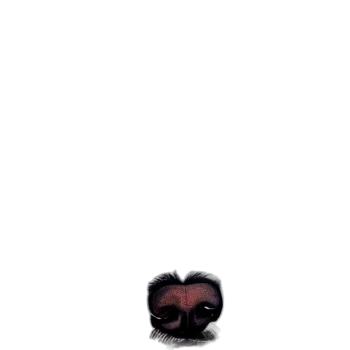 mask, face, creature, hair transparent PNG cut-out