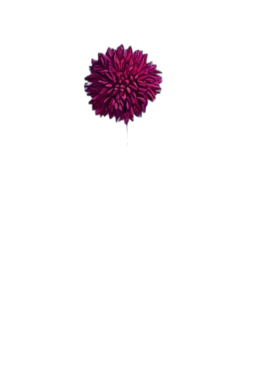 flower, umbrella, hair, jewelry, 3d render, photorealistic, pixel art, concept art transparent PNG cut-out