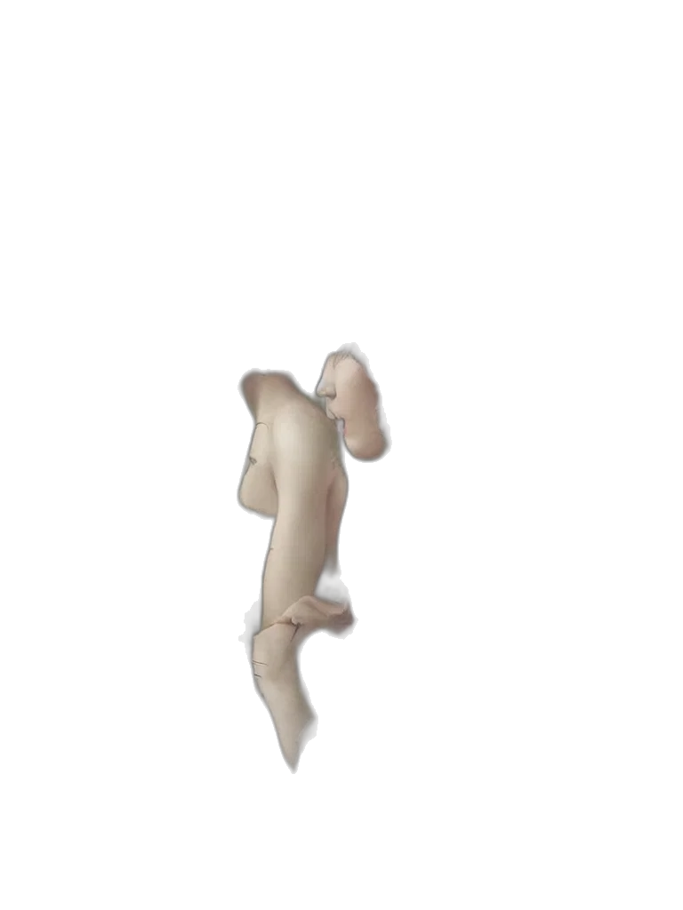 shoes, hair, creature, animal, 3d render, pixel art, concept art, photorealistic transparent PNG cut-out