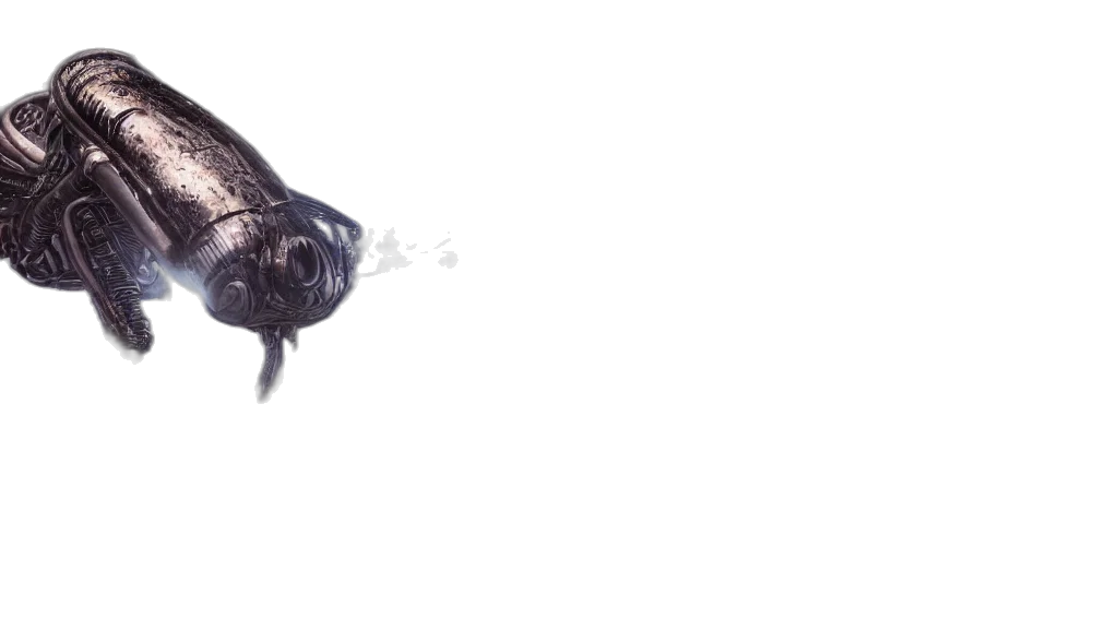 animal, face, creature, mask transparent PNG cut-out
