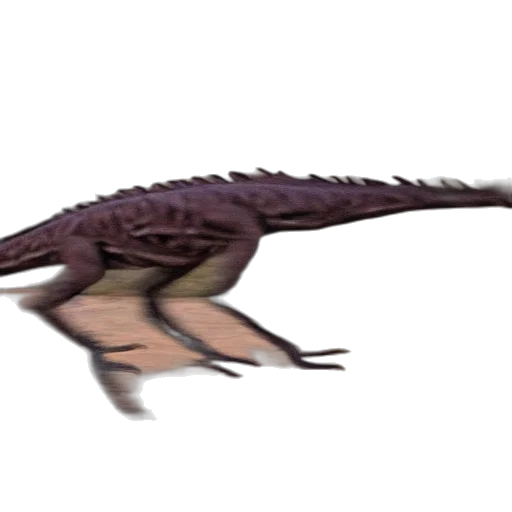 dragon, creature, animal, weapon transparent PNG cut-out