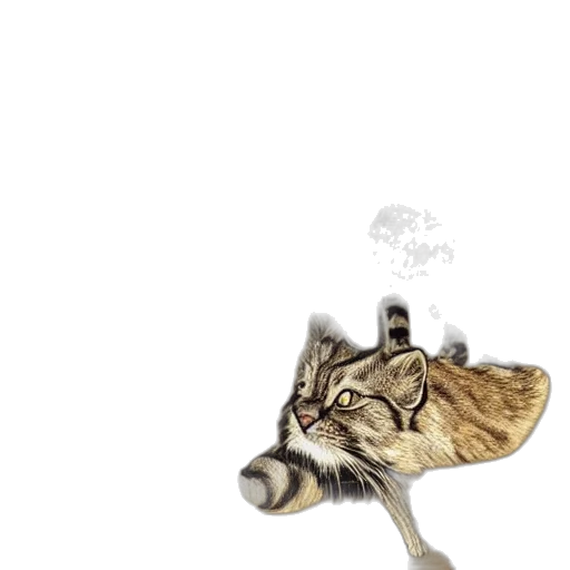 animal, creature, mask, dragon transparent PNG cut-out