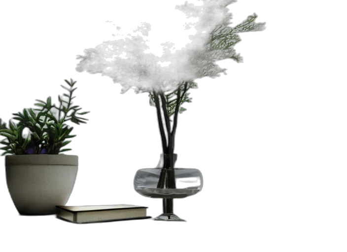 tree, furniture, 3d render, photorealistic transparent PNG cut-out