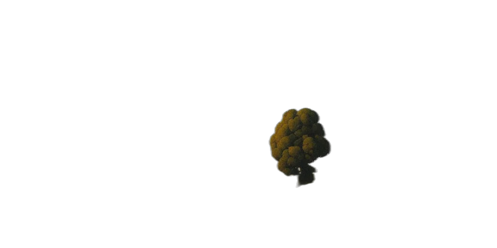 tree, crown, hair, creature, pixel art, 3d render, concept art, photorealistic transparent PNG cut-out