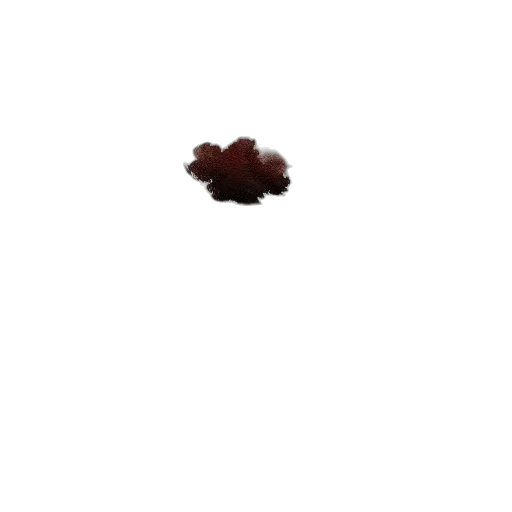 flower, tree, hair, food transparent PNG cut-out