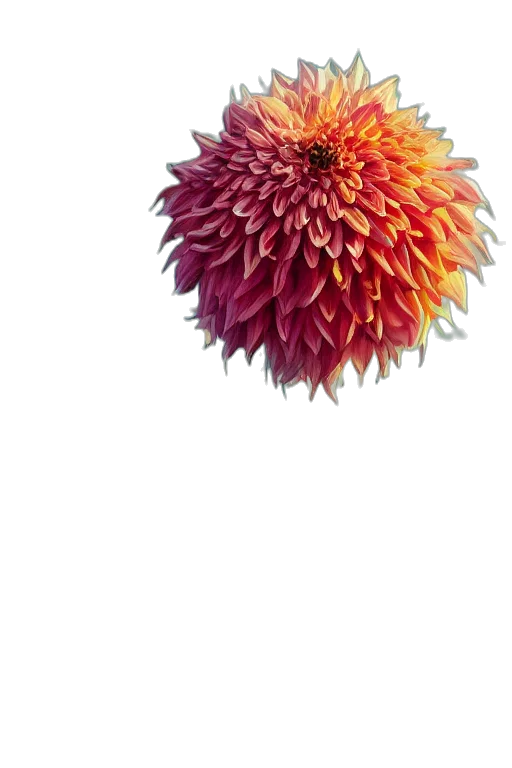 flower, crown, staff, hair, photorealistic, 3d render, watercolor, concept art transparent PNG cut-out