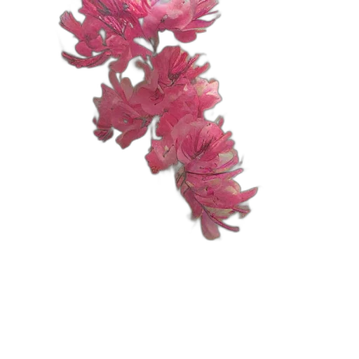 flower, crown, jewelry, staff transparent PNG cut-out