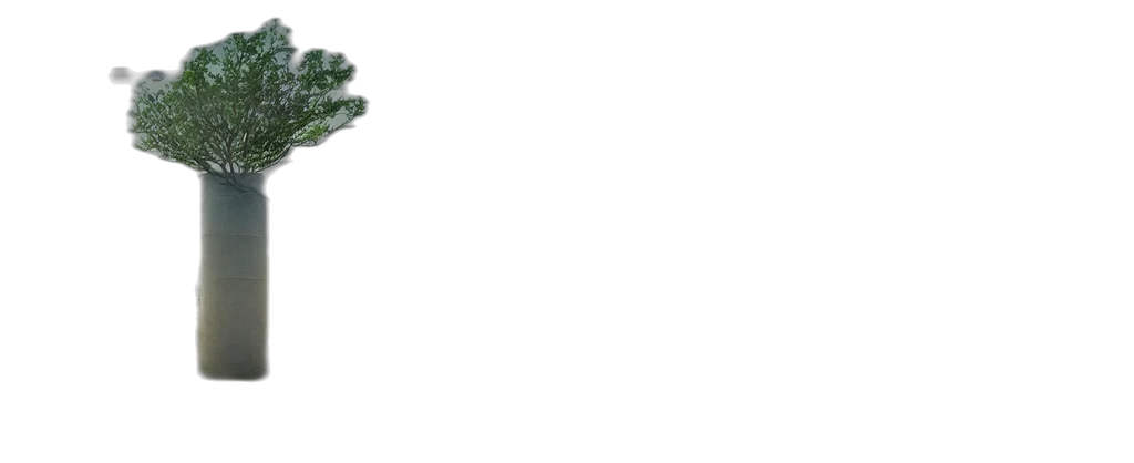 tree, dragon, creature, crown transparent PNG cut-out