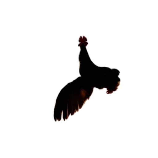 animal, food, creature, jewelry transparent PNG cut-out