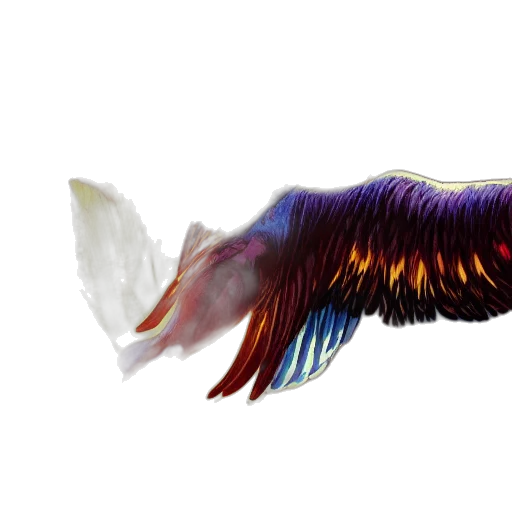 animal, dragon, creature, hair transparent PNG cut-out
