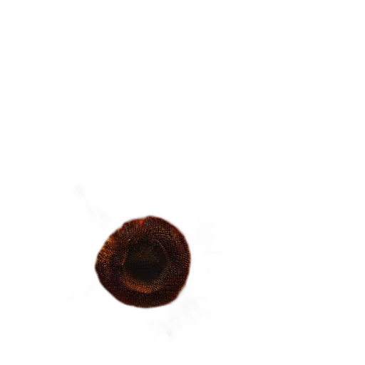 hair, staff, hat, food, photorealistic, 3d render, concept art, outer space transparent PNG cut-out