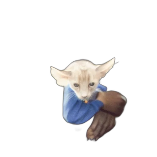 staff, creature, animal, mask, watercolor, concept art, pixel art, fantasy art transparent PNG cut-out