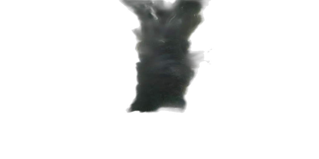 hair, dragon, mask, face transparent PNG cut-out
