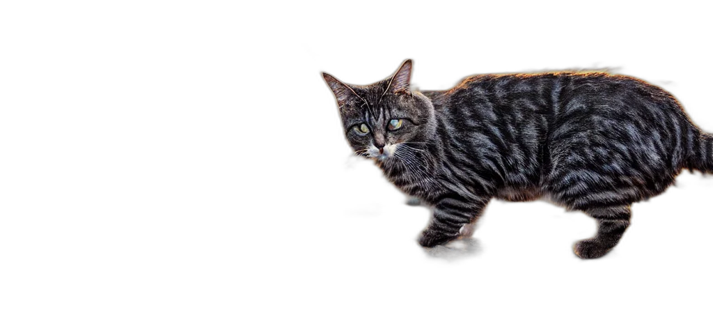 animal, creature, weapon, staff, photorealistic, 3d render, singular, cat transparent PNG cut-out