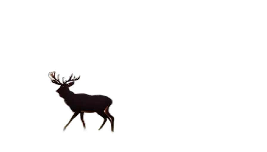 animal, crown, creature, furniture transparent PNG cut-out