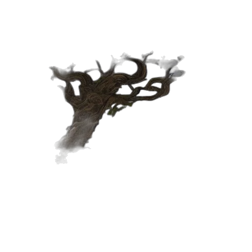 tree, crown, hair, creature transparent PNG cut-out