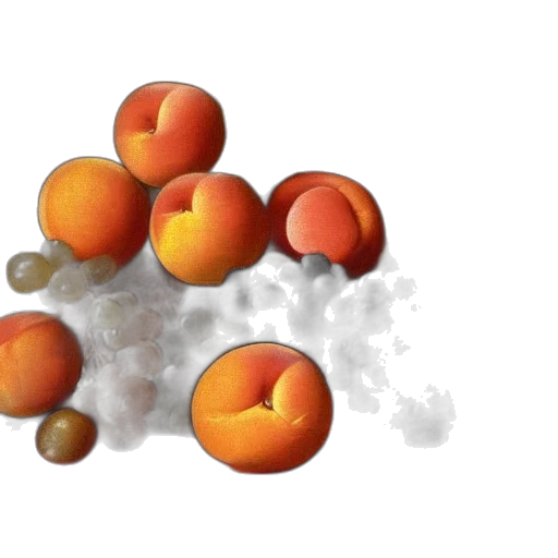 food, photorealistic, 3d render, concept art transparent PNG cut-out