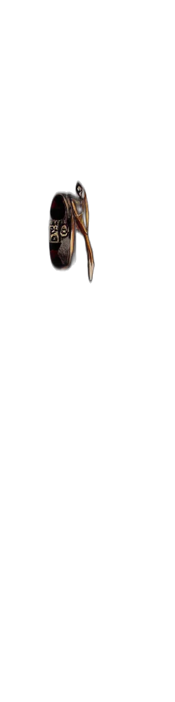staff, jewelry, hair, weapon transparent PNG cut-out