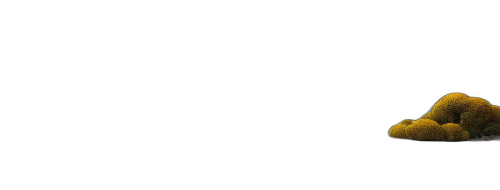 staff, face, monochrome, pastel transparent PNG cut-out