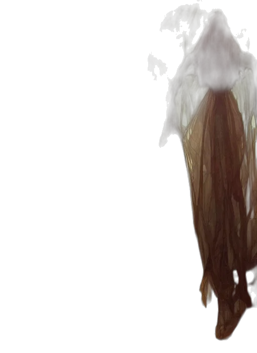 hair, mask, creature, face transparent PNG cut-out