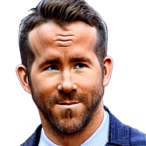 face, hair, jacket, animal transparent PNG cut-out