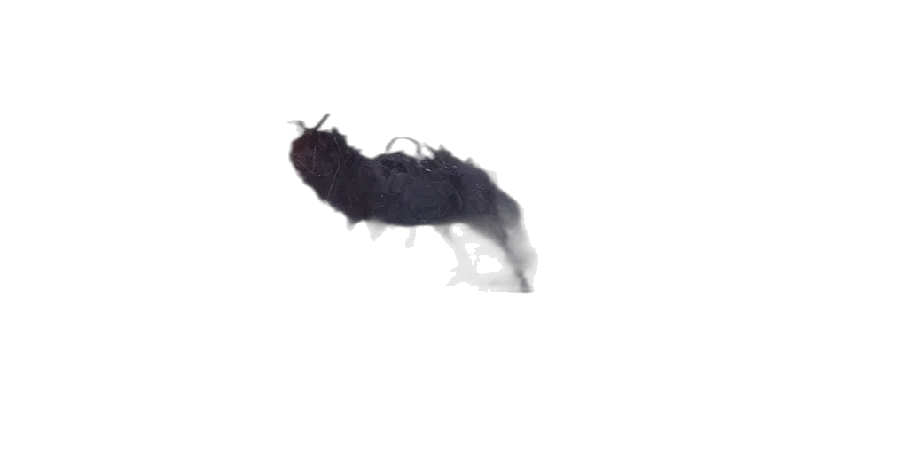 hair, creature, animal, dragon transparent PNG cut-out