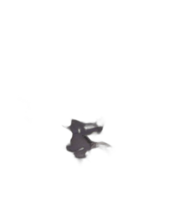 dragon, animal, creature, shoes, concept art, pixel art, photorealistic, 3d render transparent PNG cut-out