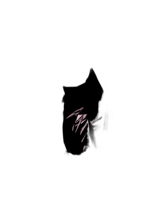 mask, face, creature, animal transparent PNG cut-out