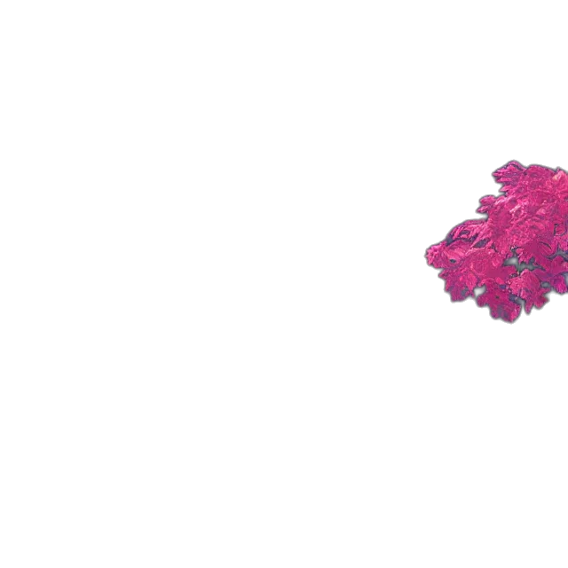 flower, crown, umbrella, jewelry, pixel art, 3d render, vaporwave, photorealistic transparent PNG cut-out