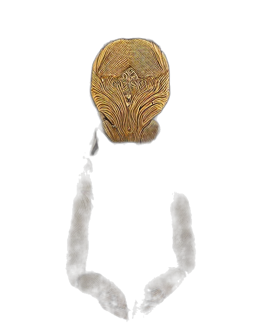 jewelry, mask, staff, crown transparent PNG cut-out