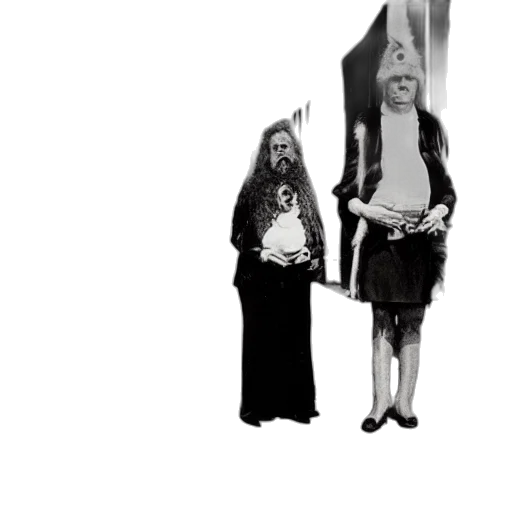 staff, umbrella, dress, sword, concept art, photographs, taken, leonorra transparent PNG cut-out
