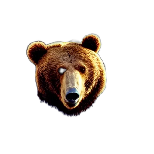 animal, face, creature, pixel art, concept art, photorealistic, 3d render, sweet transparent PNG cut-out