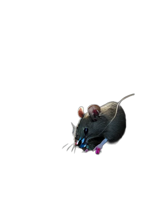 animal, creature, staff, hat, concept art, 3d render, pixel art, photorealistic transparent PNG cut-out