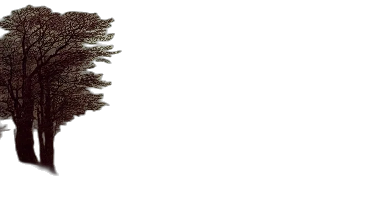 tree, hair, crown, staff transparent PNG cut-out