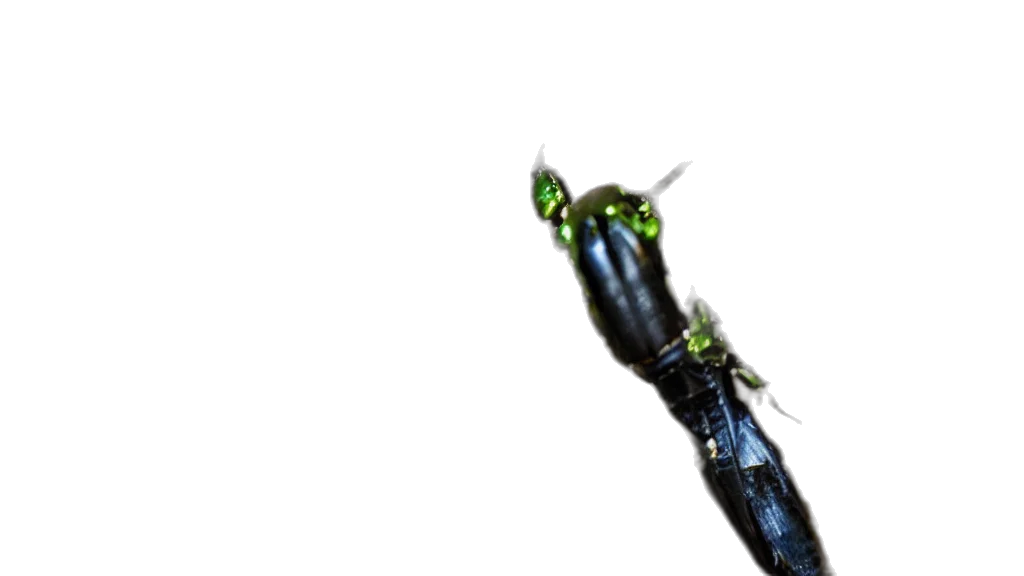 animal, staff, creature, dragon, 3d render, concept art, photorealistic, pixel art transparent PNG cut-out