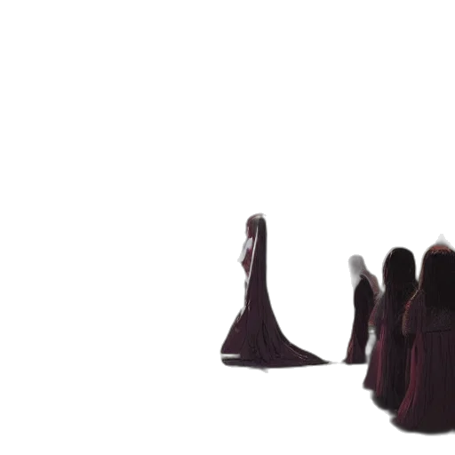dress, crown, hair, shoes transparent PNG cut-out