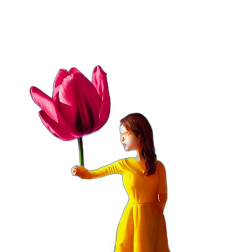 flower, dress, staff, umbrella transparent PNG cut-out