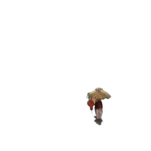 umbrella, hat, creature, jacket transparent PNG cut-out