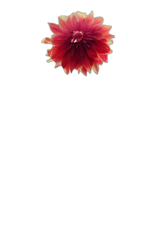 flower, crown, jewelry, staff, 3d render, photorealistic, pixel art, watercolor transparent PNG cut-out